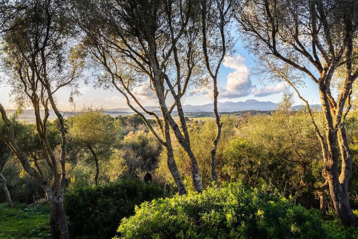 Finca Es Pujol Мария-де-ла-Салуд Экстерьер фото